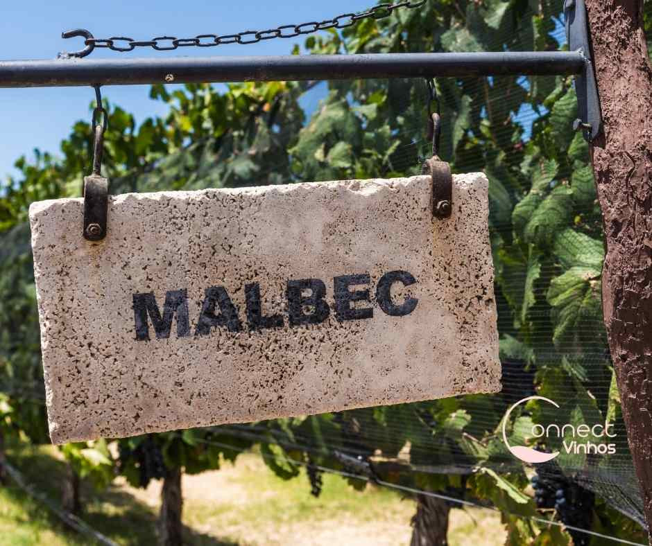 Vinhos para quem gosta de Malbec